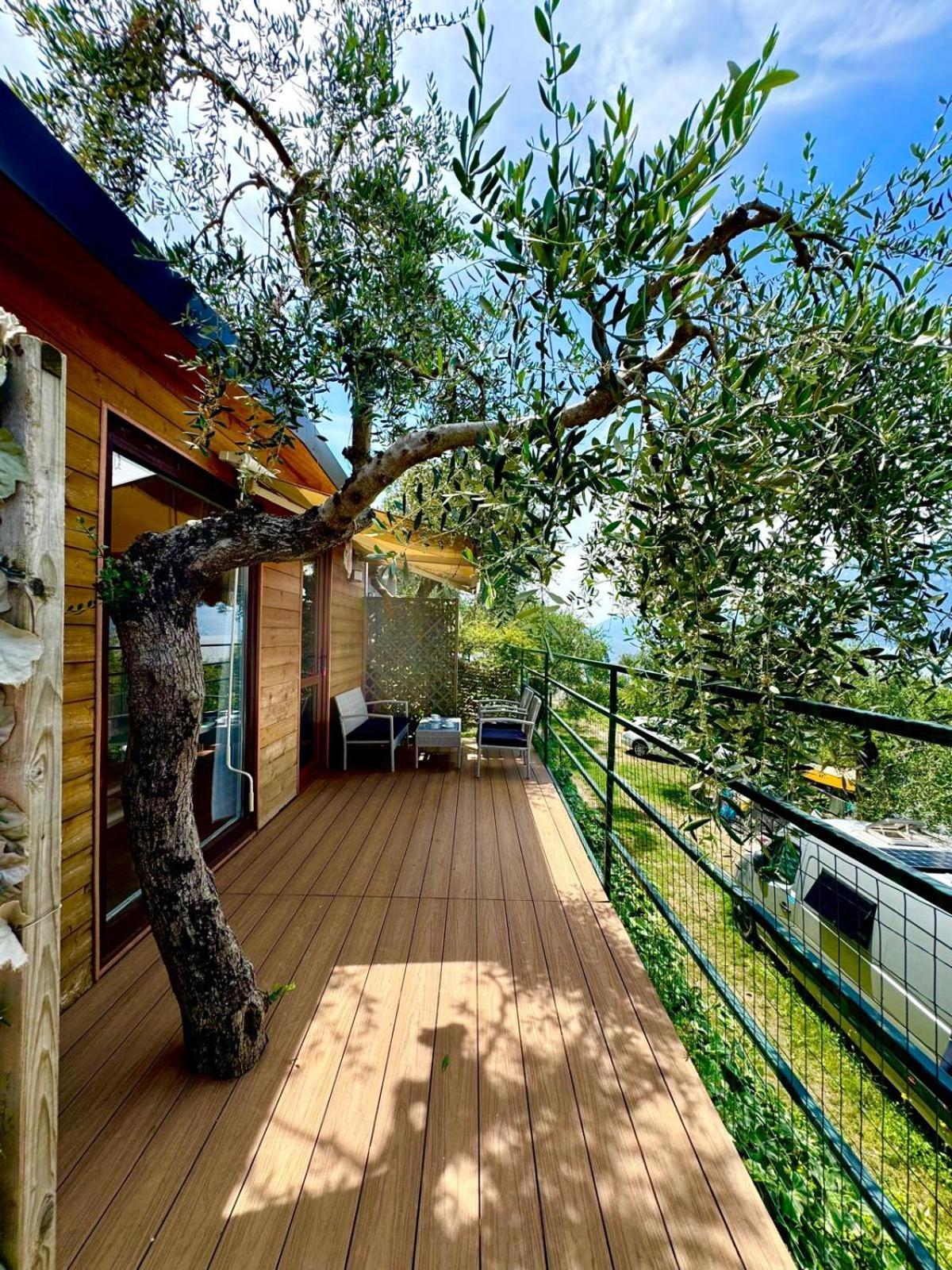 Camping Monja Brenzone sul Garda Bagian luar foto