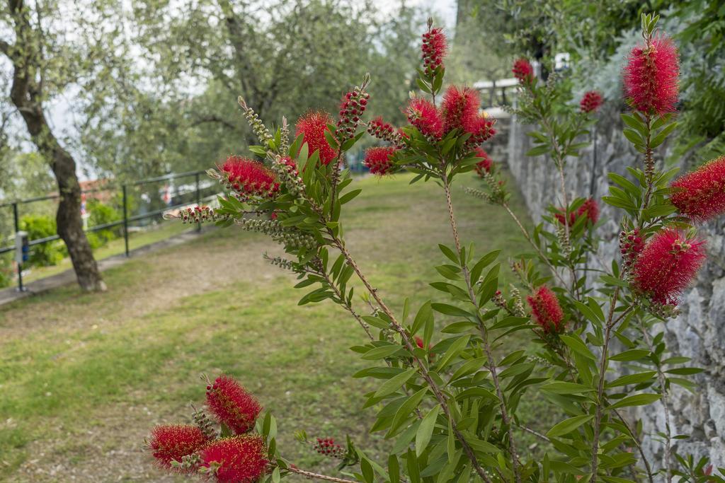 Camping Monja Brenzone sul Garda Bagian luar foto