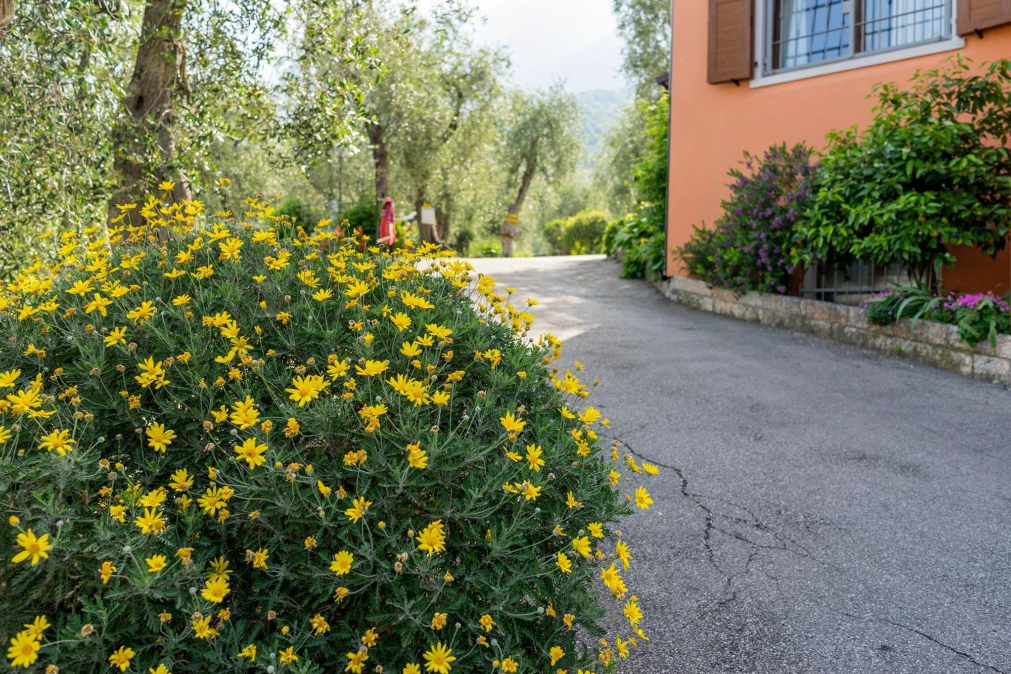 Camping Monja Brenzone sul Garda Bagian luar foto
