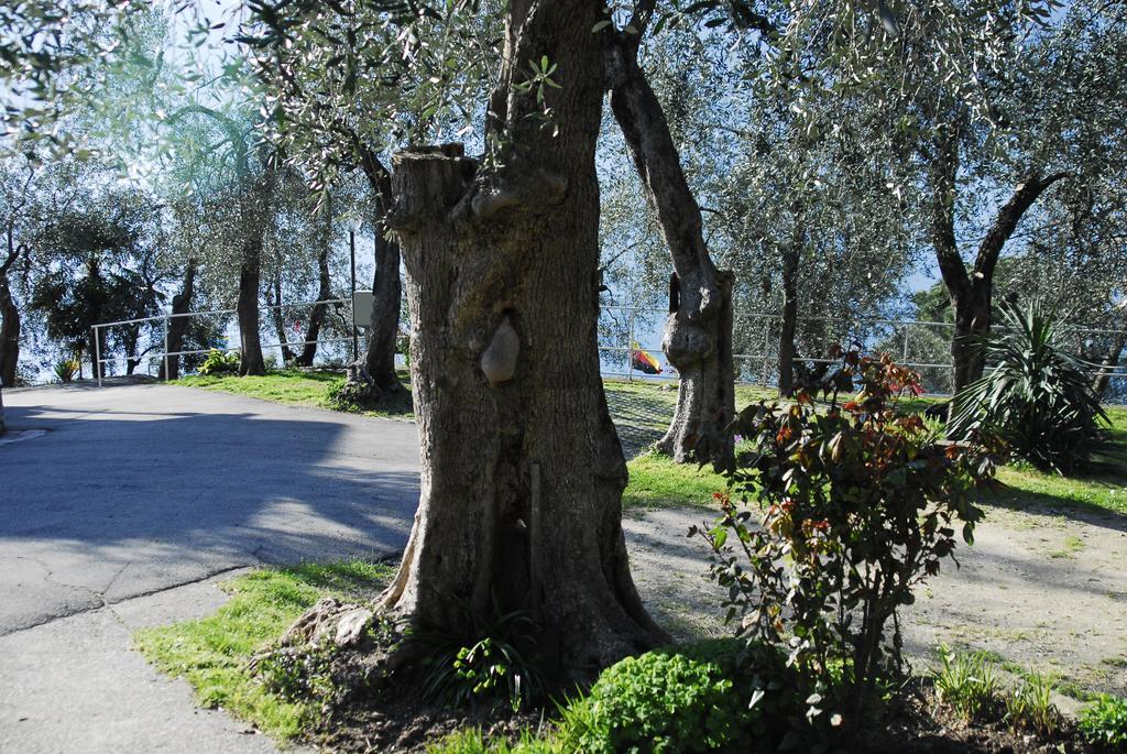 Camping Monja Brenzone sul Garda Bagian luar foto