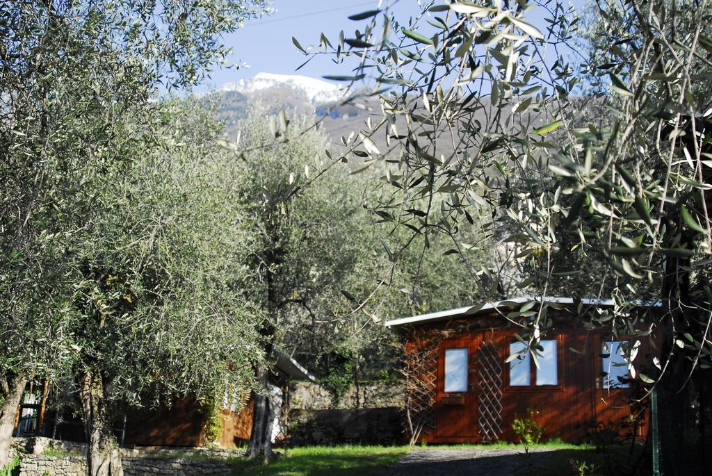 Camping Monja Brenzone sul Garda Bagian luar foto