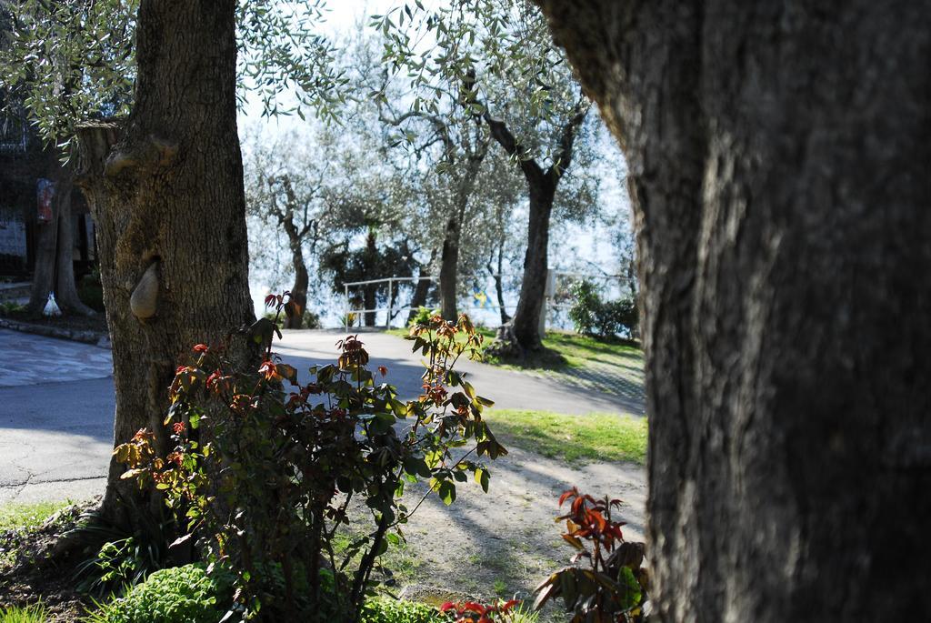 Camping Monja Brenzone sul Garda Bagian luar foto