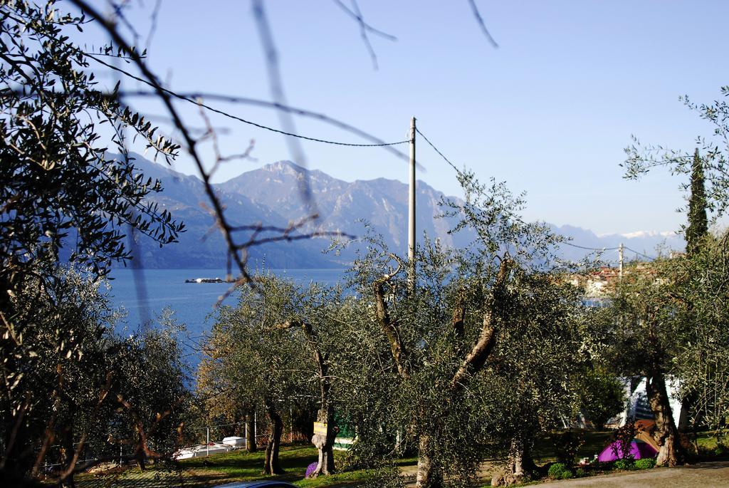 Camping Monja Brenzone sul Garda Bagian luar foto